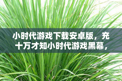 小时代游戏下载安卓版，充十万才知小时代游戏黑幕，这隐情让我吓一跳！