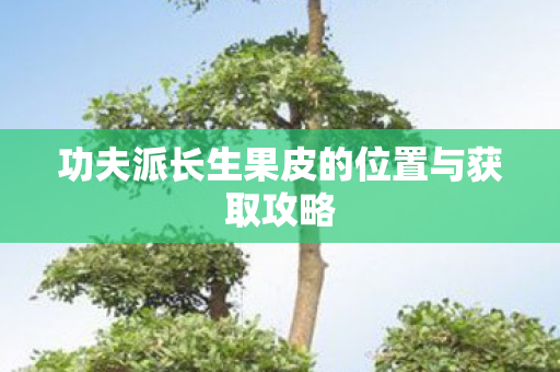 功夫派长生果皮的位置与获取攻略 功夫派长生果皮的位置与获取攻略