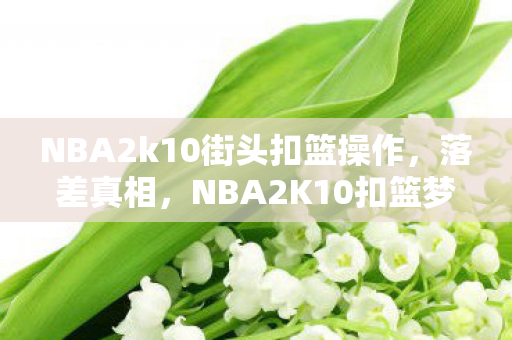 NBA2k10街头扣篮操作，落差真相，NBA2K10扣篮梦碎，笑着笑着，我哭了
