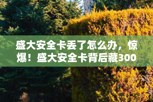 盛大安全卡丢了怎么办,惊爆!盛大安全卡背后藏3000万隐情,真相让人吓一跳! 盛大安全卡丢了怎么办,惊爆!盛大安全卡背后藏3000万隐情,真相让人吓一跳!