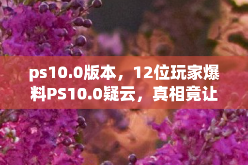 ps10.0版本，12位玩家爆料PS10.0疑云，真相竟让老炮我当场绷不住！