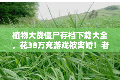 植物大战僵尸存档下载大全,花38万充游戏被离婚!老婆发现后我跪着删存档,这隐情吓你一跳 植物大战僵尸存档下载大全,花38万充游戏被离婚!老婆发现后我跪着删存档,这隐情吓你一跳