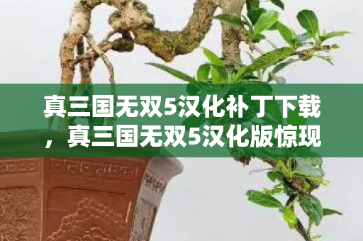 真三国无双5汉化补丁下载，真三国无双5汉化版惊现蹊跷！老玩家直呼这版本太魔幻！