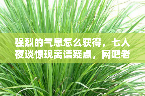 强烈的气息怎么获得，七人夜谈惊现离谱疑点，网吧老炮当场绷不住！