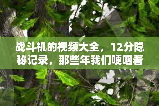 战斗机的视频大全，12分隐秘记录，那些年我们哽咽着追过的战斗机视频
