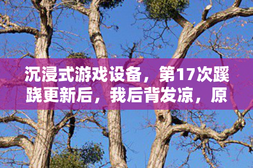 沉浸式游戏设备，第17次蹊跷更新后，我后背发凉，原来我才是被游戏玩透的NPC