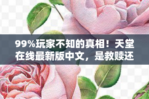 99%玩家不知的真相！天堂在线最新版中文，是救赎还是深渊？