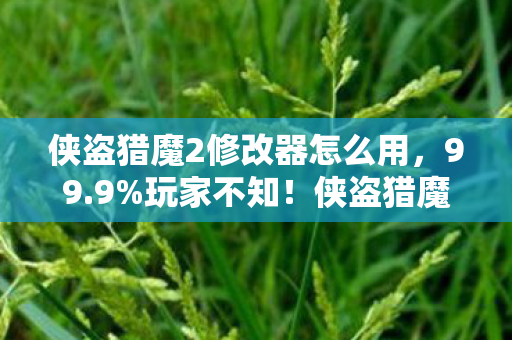 侠盗猎魔2修改器怎么用，99.9%玩家不知！侠盗猎魔2修改器暗藏的数值核爆密码