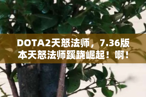 DOTA2天怒法师，7.36版本天怒法师蹊跷崛起！啊！这玩法变迁太震撼！