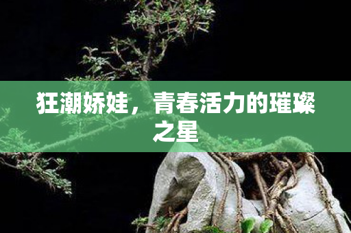 狂潮娇娃,青春活力的璀璨之星 狂潮娇娃,青春活力的璀璨之星