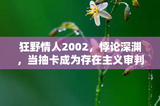 狂野情人2002，悖论深渊，当抽卡成为存在主义审判，你的灵魂震颤了吗？