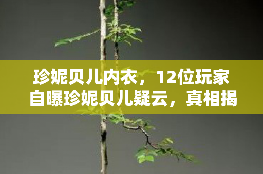 珍妮贝儿内衣，12位玩家自曝珍妮贝儿疑云，真相揭晓时我直接绷不住了！
