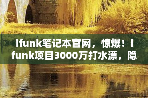 ifunk笔记本官网，惊爆！ifunk项目3000万打水漂，隐情曝光，这结果真让人吓一跳！