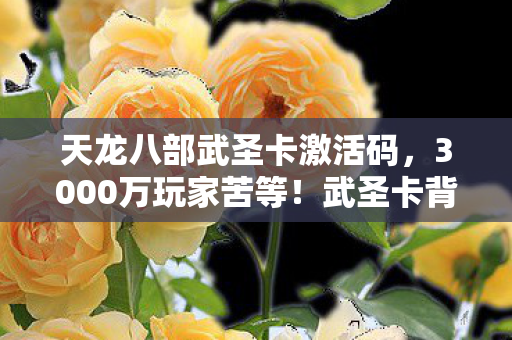 天龙八部武圣卡激活码，3000万玩家苦等！武圣卡背后竟藏着游戏人的十年心酸泪