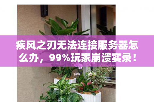 疾风之刃无法连接服务器怎么办,99%玩家崩溃实录!疾风之刃服务器失联36小时,这波操作让百万玩家集体破防 疾风之刃无法连接服务器怎么办,99%玩家崩溃实录!疾风之刃服务器失联36小时,这波操作让百万玩家集体破防