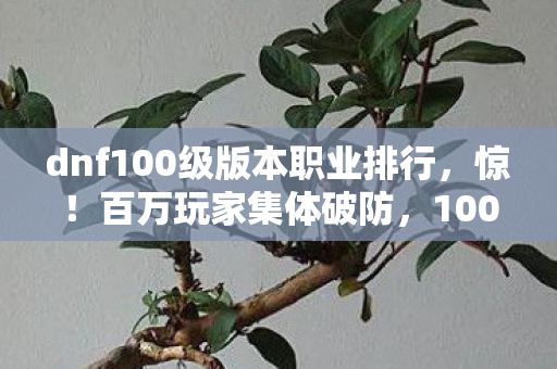 dnf100级版本职业排行，惊！百万玩家集体破防，100级职业排行背后竟藏惊天谜团？