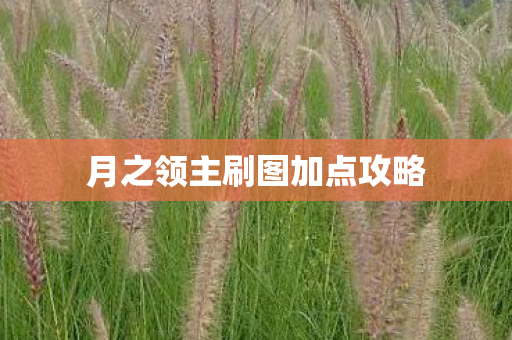 月之领主刷图加点攻略