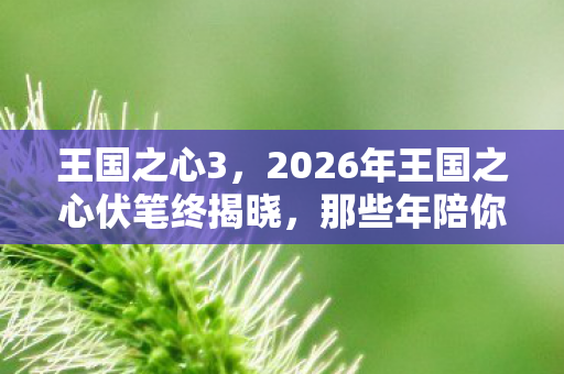 王国之心3,2026年王国之心伏笔终揭晓,那些年陪你的人,让我鼻子一酸 王国之心3,2026年王国之心伏笔终揭晓,那些年陪你的人,让我鼻子一酸