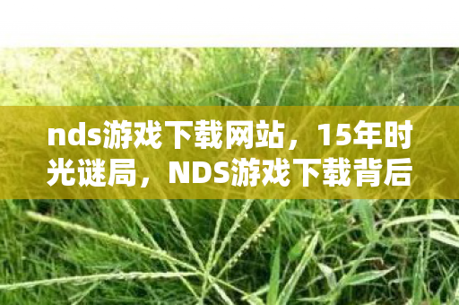 nds游戏下载网站,15年时光谜局,NDS游戏下载背后的生死轮回与泪目真相 nds游戏下载网站,15年时光谜局,NDS游戏下载背后的生死轮回与泪目真相