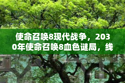 使命召唤8现代战争，2030年使命召唤8血色谜局，线索交织的悬案，毛骨悚然真相