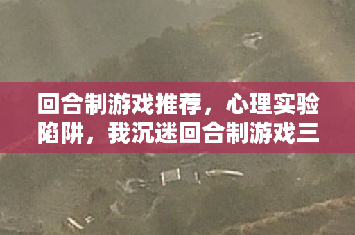 回合制游戏推荐，心理实验陷阱，我沉迷回合制游戏三年，细思极恐的自我囚禁