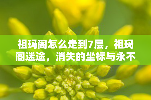 祖玛阁怎么走到7层,祖玛阁迷途,消失的坐标与永不闭合的轮回之门 祖玛阁怎么走到7层,祖玛阁迷途,消失的坐标与永不闭合的轮回之门