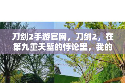 刀剑2手游官网,刀剑2,在第九重天堑的悖论里,我的灵魂震颤于生死抉择 刀剑2手游官网,刀剑2,在第九重天堑的悖论里,我的灵魂震颤于生死抉择