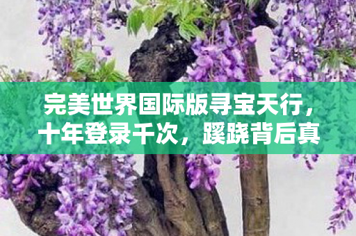 完美世界国际版寻宝天行图片