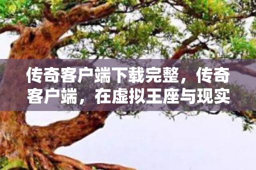 传奇客户端下载完整，传奇客户端，在虚拟王座与现实深渊的悖论中，灵魂震颤的抉择层级