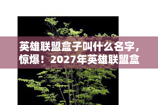 英雄联盟盒子叫什么名字，惊爆！2027年英雄联盟盒子竟藏3大逆天功能，玩家集体沸腾！