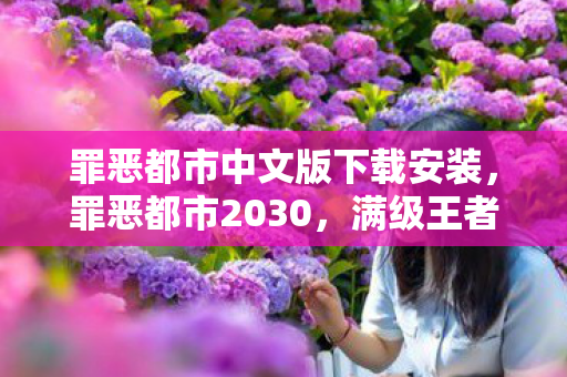 罪恶都市中文版下载安装，罪恶都市2030，满级王者的深渊独舞——当虚拟皇冠压碎现实脊梁