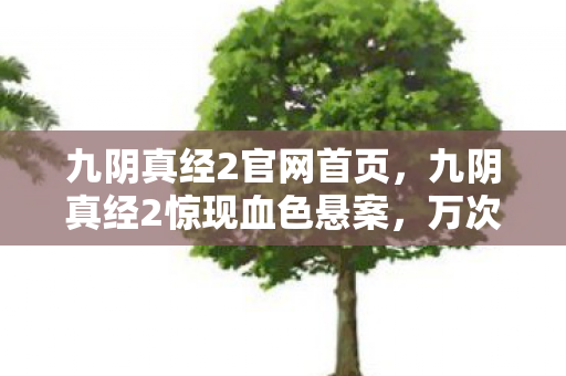 九阴真经2官网首页,九阴真经2惊现血色悬案,万次杀戮背后的毛骨悚然真相 九阴真经2官网首页,九阴真经2惊现血色悬案,万次杀戮背后的毛骨悚然真相