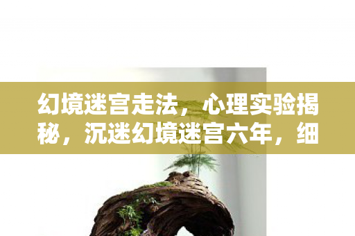 幻境迷宫走法，心理实验揭秘，沉迷幻境迷宫六年，细思极恐的自我麻醉