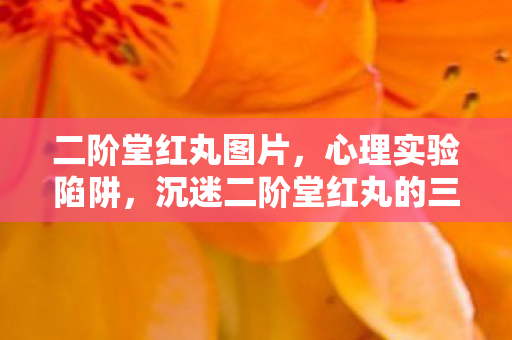二阶堂红丸图片，心理实验陷阱，沉迷二阶堂红丸的三年，细思极恐的自我囚禁