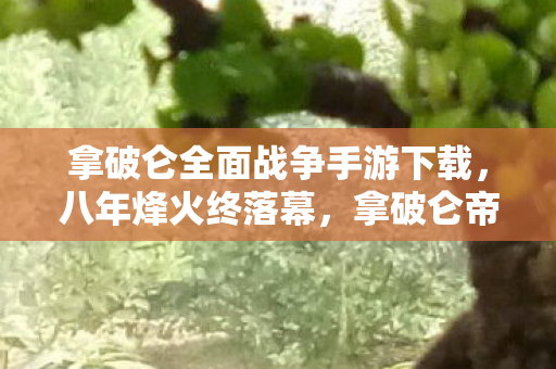 拿破仑全面战争手游下载，八年烽火终落幕，拿破仑帝国梦碎时，泪目告别！