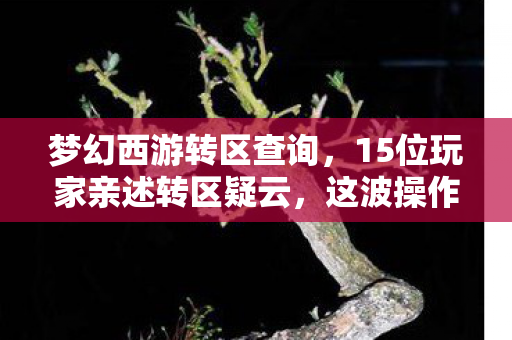 梦幻西游转区查询,15位玩家亲述转区疑云,这波操作真让人绷不住了! 梦幻西游转区查询,15位玩家亲述转区疑云,这波操作真让人绷不住了!