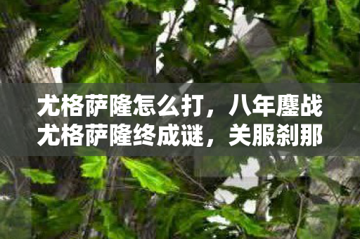 尤格萨隆怎么打，八年鏖战尤格萨隆终成谜，关服刹那泪目竟无痕