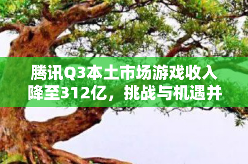 腾讯Q3本土市场游戏收入降至312亿,挑战与机遇并存 腾讯Q3本土市场游戏收入降至312亿,挑战与机遇并存