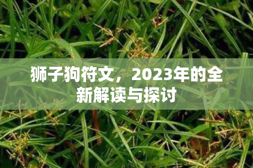 狮子狗符文,2023年的全新解读与探讨 狮子狗符文,2023年的全新解读与探讨