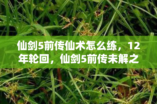 仙剑5前传仙术怎么练，12年轮回，仙剑5前传未解之谜与百万玩家的泪目长歌