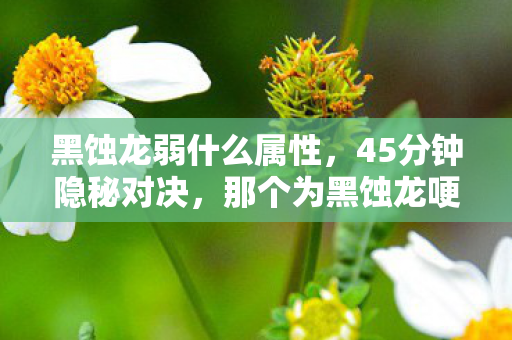 黑蚀龙弱什么属性，45分钟隐秘对决，那个为黑蚀龙哽咽的夜晚，你还记得吗？