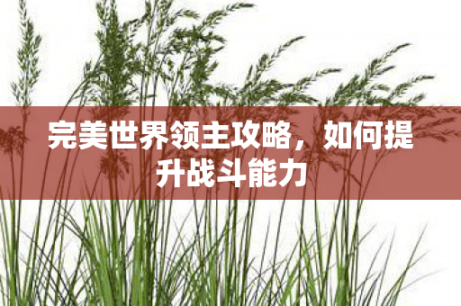 完美世界领主攻略,如何提升战斗能力 完美世界领主攻略,如何提升战斗能力