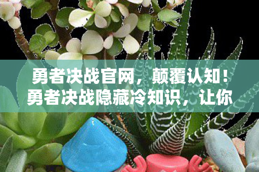 勇者决战官网，颠覆认知！勇者决战隐藏冷知识，让你目瞪口呆！