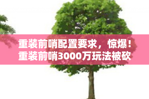 重装前哨配置要求，惊爆！重装前哨3000万玩法被砍，背后隐情让人吓一跳！