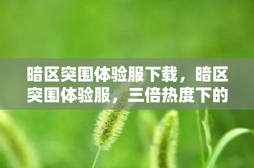 暗区突围体验服下载，暗区突围体验服，三倍热度下的疑云密布，谁让玩家心寒至极？