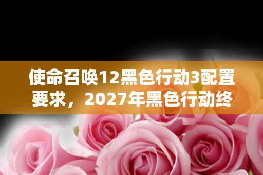 使命召唤12黑色行动3配置要求，2027年黑色行动终章，当别走成绝响，我删号时鼻子一酸