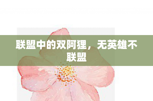 联盟中的双阿狸，无英雄不联盟