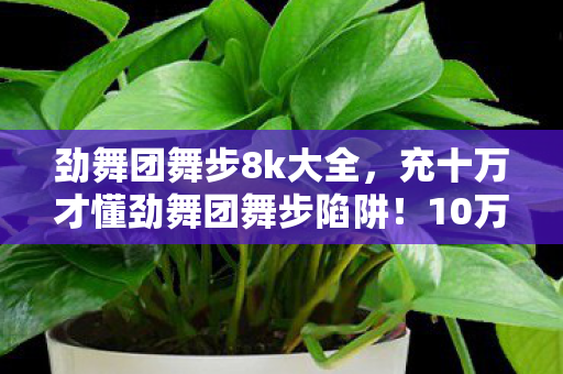 劲舞团舞步8k大全,充十万才懂劲舞团舞步陷阱!10万血汗钱换来韭菜认证,吓一跳! 劲舞团舞步8k大全,充十万才懂劲舞团舞步陷阱!10万血汗钱换来韭菜认证,吓一跳!