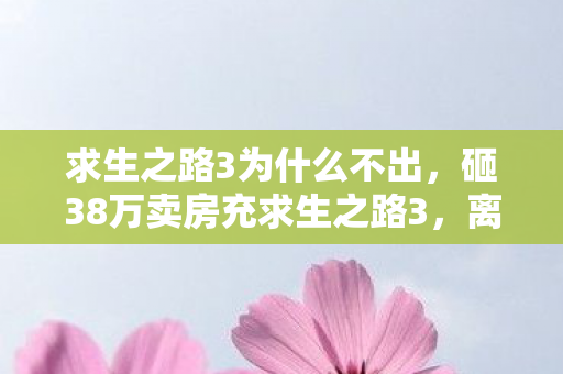 求生之路3为什么不出，砸38万卖房充求生之路3，离婚协议藏惊天隐情，吓你一跳！