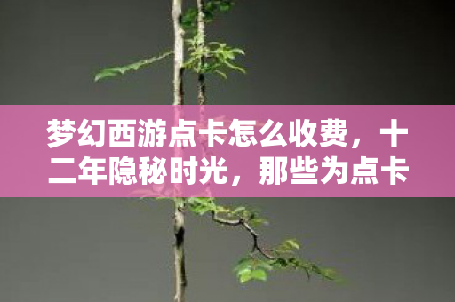 梦幻西游点卡怎么收费，十二年隐秘时光，那些为点卡哽咽的深夜，如今只剩空号在等